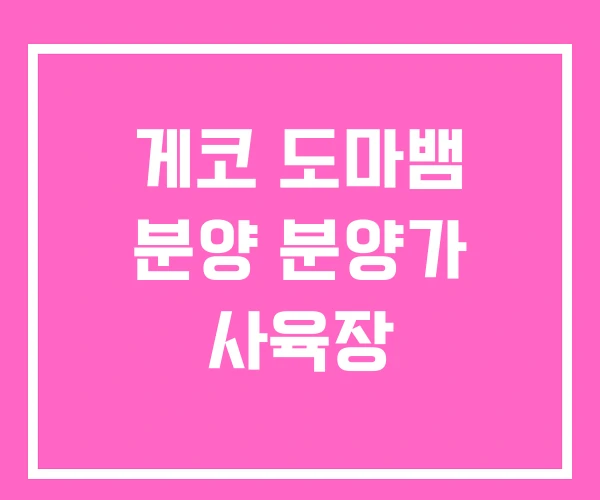 게코 도마뱀 분양 분양가 사육장