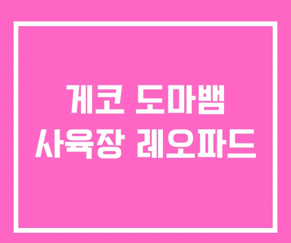 게코 도마뱀 사육장 레오파드