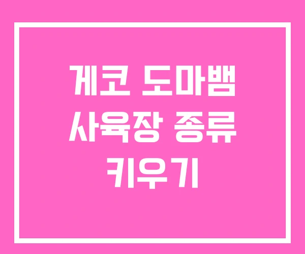 게코 도마뱀 사육장 종류 키우기