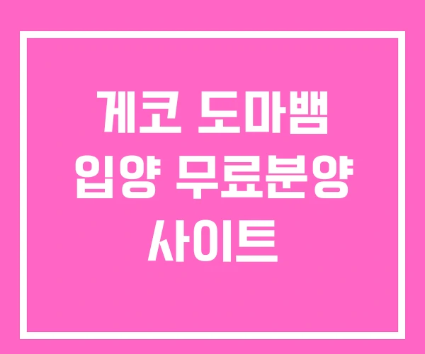 게코 도마뱀 입양 무료분양 사이트