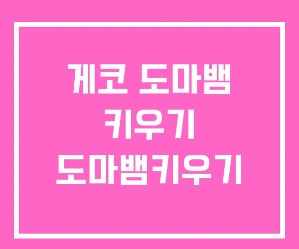 게코 도마뱀 키우기 도마뱀키우기