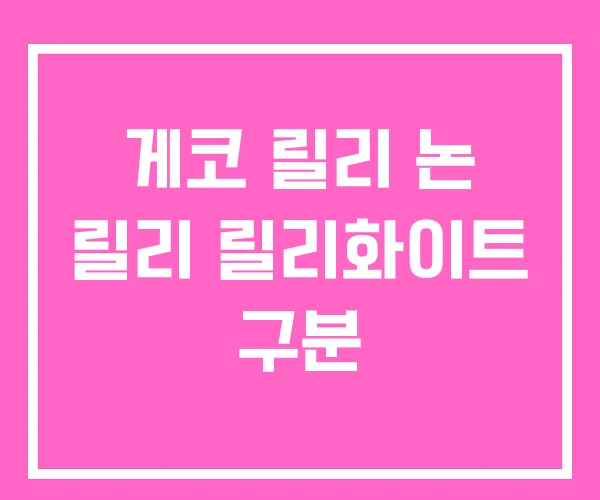 게코 릴리 논 릴리 릴리화이트 구분