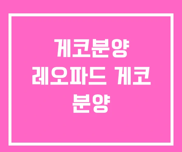 게코분양 레오파드 게코 분양 게코분양 레오파드 게코 분양