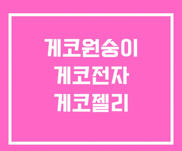 게코원숭이 게코전자 게코젤리