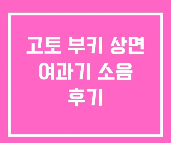고토 부키 상면 여과기 소음 후기
