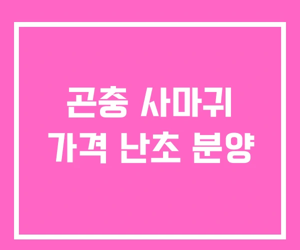 곤충 사마귀 가격 난초 분양