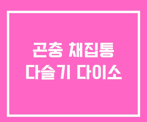 곤충 채집통 다슬기 다이소