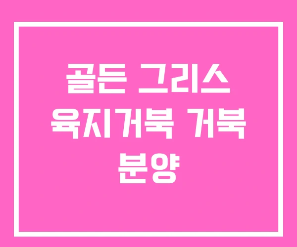 골든 그리스 육지거북 거북 분양