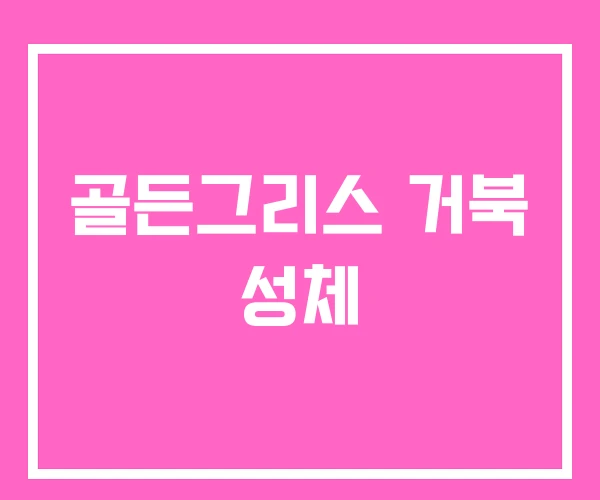 골든그리스 거북 성체