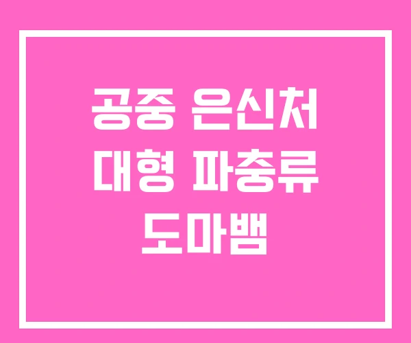 공중 은신처 대형 파충류 도마뱀 공중 은신처 대형 파충류 도마뱀