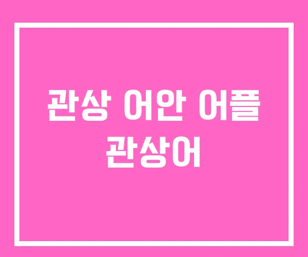 관상 어안 어플 관상어