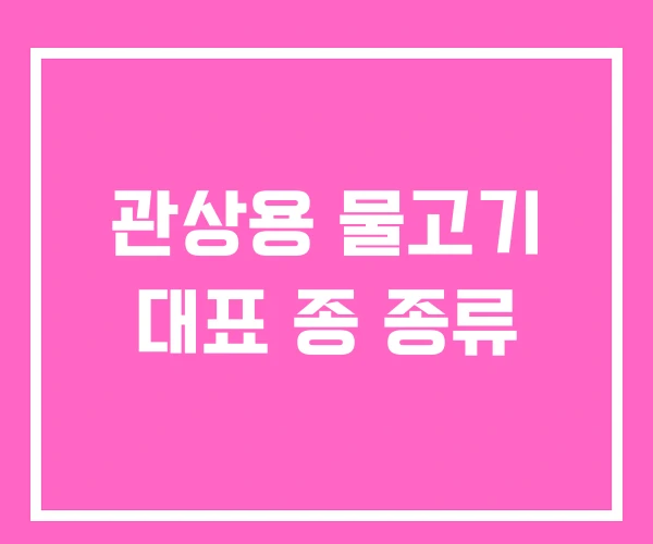 관상용 물고기 대표 종 종류