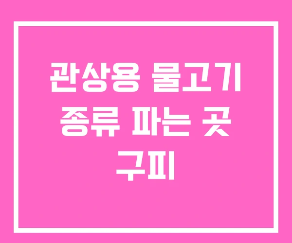 관상용 물고기 종류 파는 곳 구피