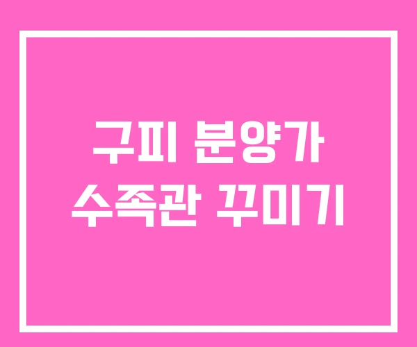 구피 분양가 수족관 꾸미기 구피 분양가 수족관 꾸미기