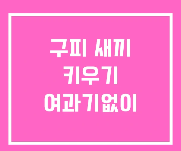 구피 새끼 키우기 여과기없이