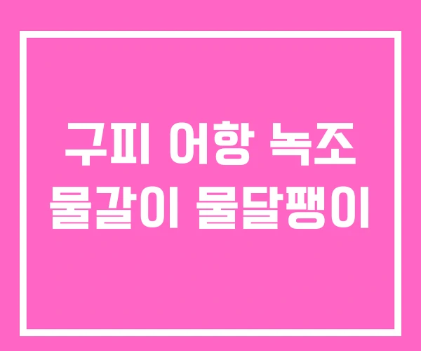 구피 어항 녹조 물갈이 물달팽이 구피 어항 녹조 물갈이 물달팽이