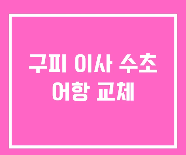 구피 이사 수초 어항 교체 구피 이사 수초 어항 교체