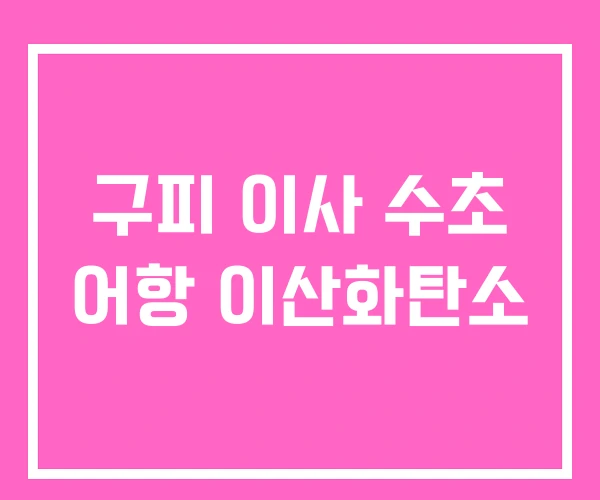 구피 이사 수초 어항 이산화탄소