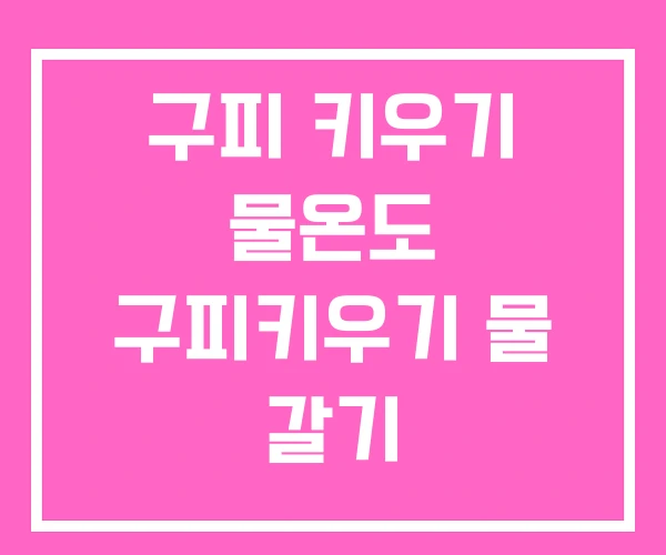 구피 키우기 물온도 구피키우기 물 갈기