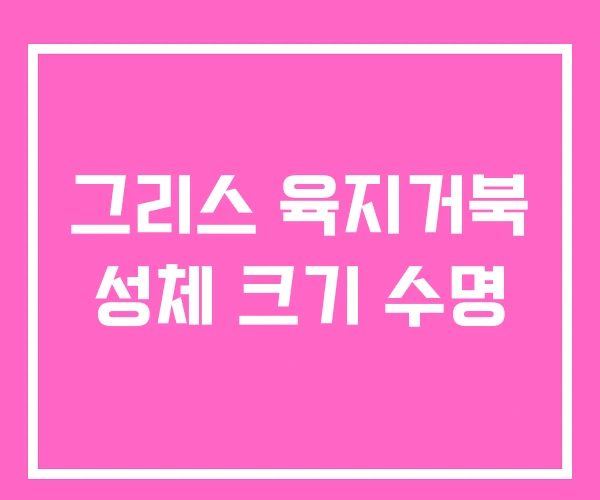 그리스 육지거북 성체 크기 수명 그리스 육지거북 성체 크기 수명