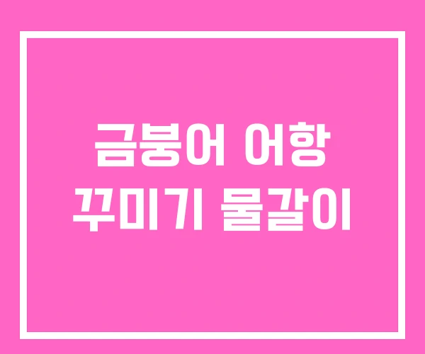 금붕어 어항 꾸미기 물갈이 금붕어 어항 꾸미기 물갈이