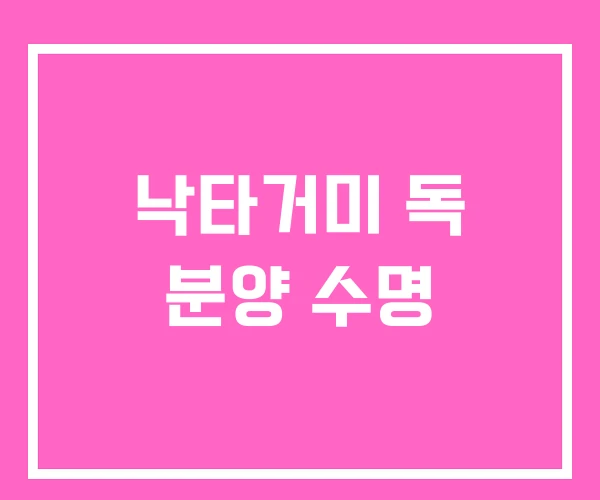 낙타거미 독 분양 수명 낙타거미 독 분양 수명