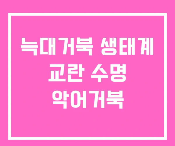 늑대거북 생태계 교란 수명 악어거북