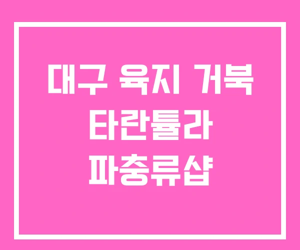 대구 육지 거북 타란튤라 파충류샵