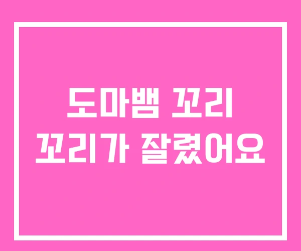 도마뱀 꼬리 꼬리가 잘렸어요