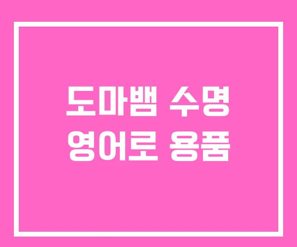 도마뱀 수명 영어로 용품