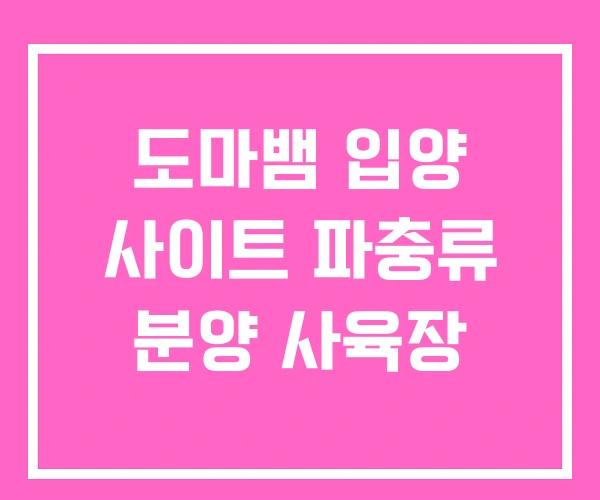 도마뱀 입양 사이트 파충류 분양 사육장