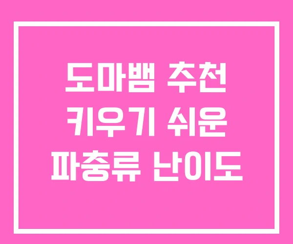 도마뱀 추천 키우기 쉬운 파충류 난이도