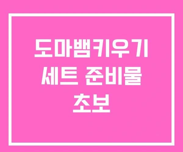 도마뱀키우기 세트 준비물 초보 도마뱀키우기 세트 준비물 초보