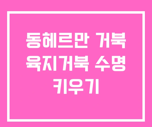 동헤르만 거북 육지거북 수명 키우기