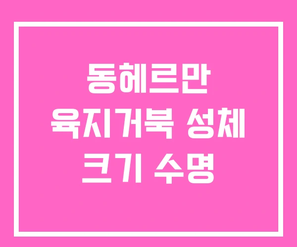 동헤르만 육지거북 성체 크기 수명