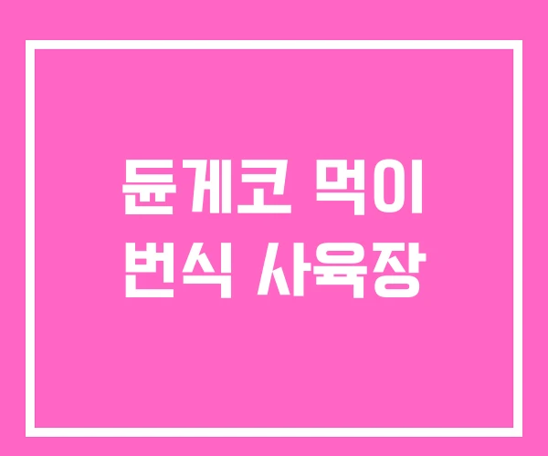 듄게코 먹이 번식 사육장 듄게코 먹이 번식 사육장