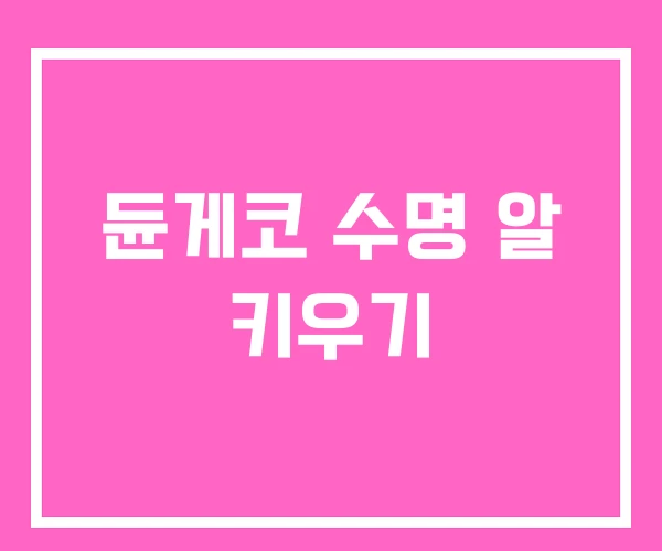 듄게코 수명 알 키우기 듄게코 수명 알 키우기