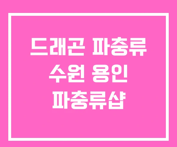 드래곤 파충류 수원 용인 파충류샵 드래곤 파충류 수원 용인 파충류샵