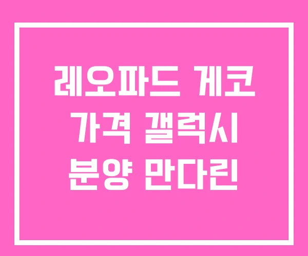 레오파드 게코 가격 갤럭시 분양 만다린