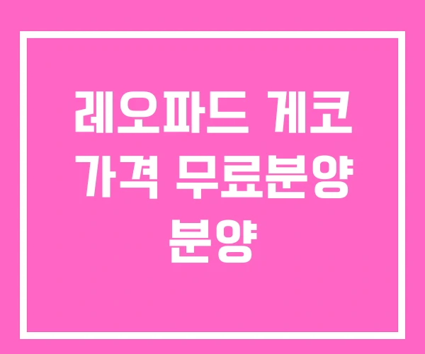 레오파드 게코 가격 무료분양 분양