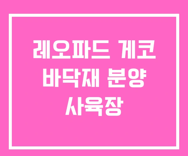 레오파드 게코 바닥재 분양 사육장