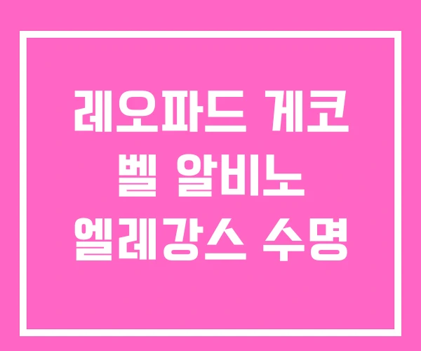 레오파드 게코 벨 알비노 엘레강스 수명 레오파드 게코 벨 알비노 엘레강스 수명