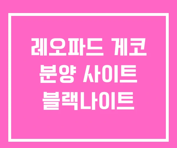 레오파드 게코 분양 사이트 블랙나이트