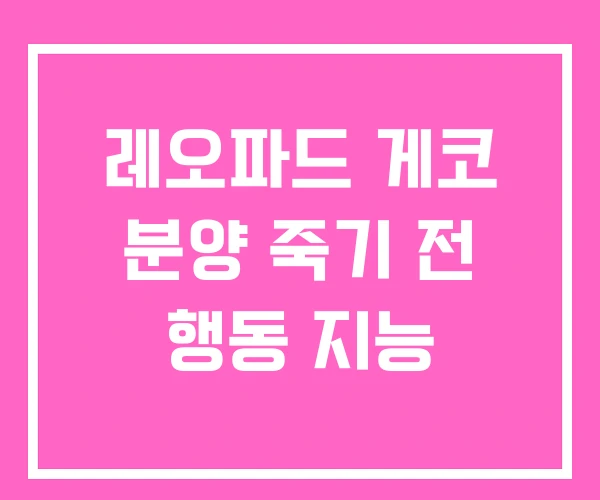 레오파드 게코 분양 죽기 전 행동 지능