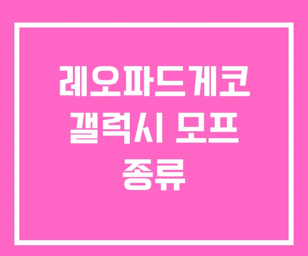 레오파드게코 갤럭시 모프 종류 레오파드게코 갤럭시 모프 종류