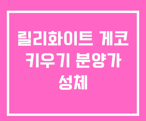 릴리화이트 게코 키우기 분양가 성체