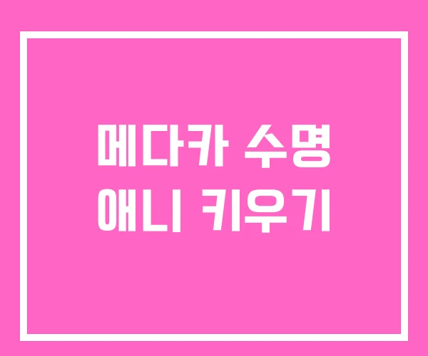 메다카 수명 애니 키우기