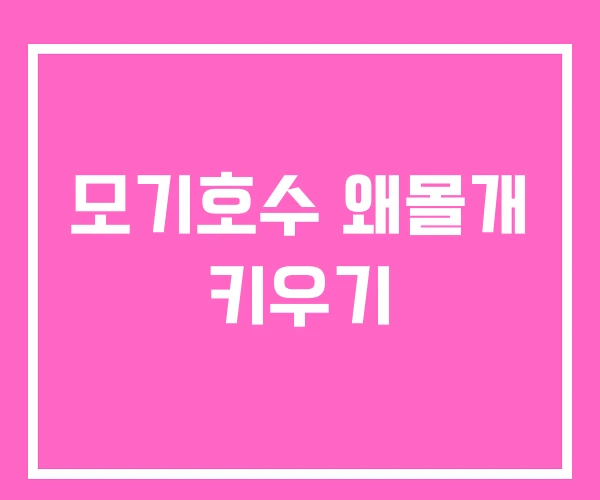 모기호수 왜몰개 키우기