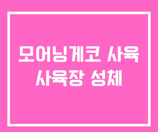 모어닝게코 사육 사육장 성체