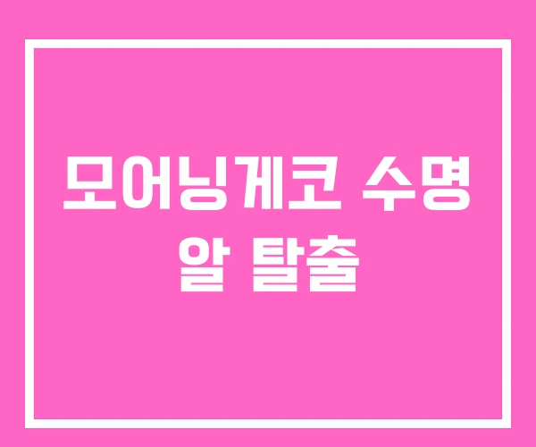 모어닝게코 수명 알 탈출 모어닝게코 수명 알 탈출